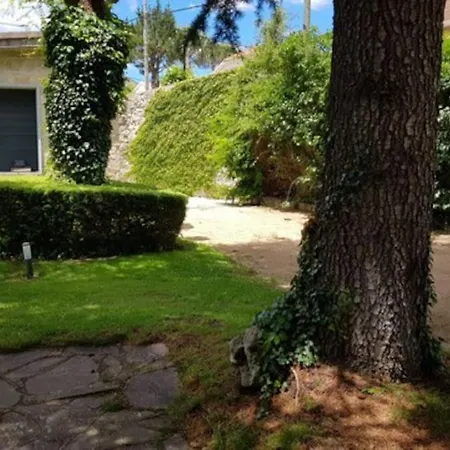 Casa Con Jardin En El Centro *