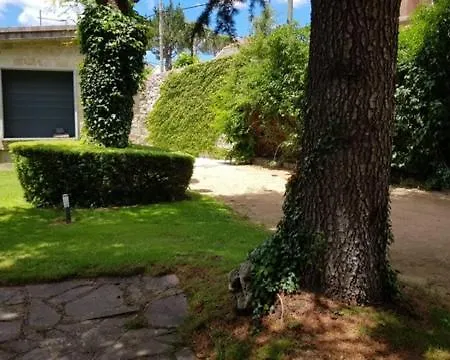 Casa Con Jardin En El Centro * 拉斯纳瓦斯德尔马尔克斯